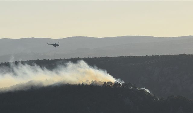 Bilecik'teki orman yangınına müdahale ediliyor