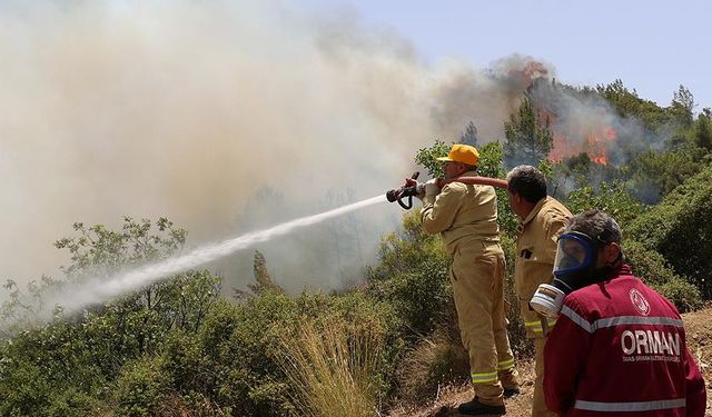 Çatalca'da ormanlık alanda yangın