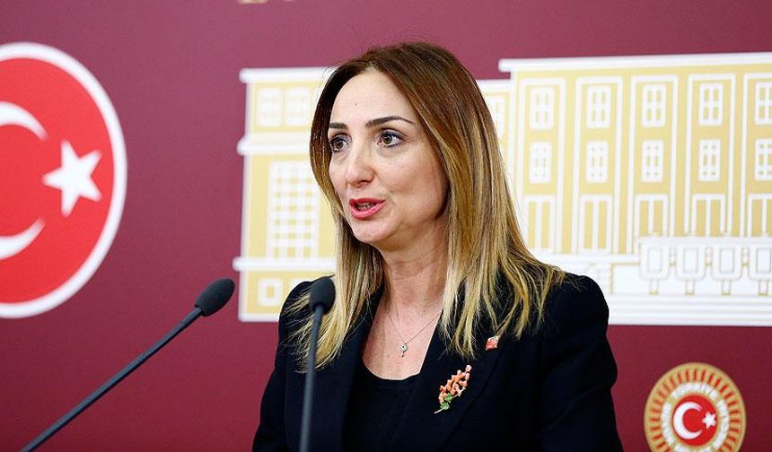 Aylin Nazlıaka: "AKP iktidarında kadınlara adeta kuluçka makinesi muamelesi yapılıyor"