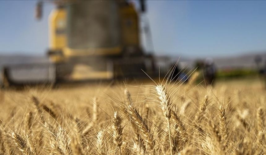 CHP'li Gürer, tarımda girdi maliyetlerindeki artışa dikkat çekti