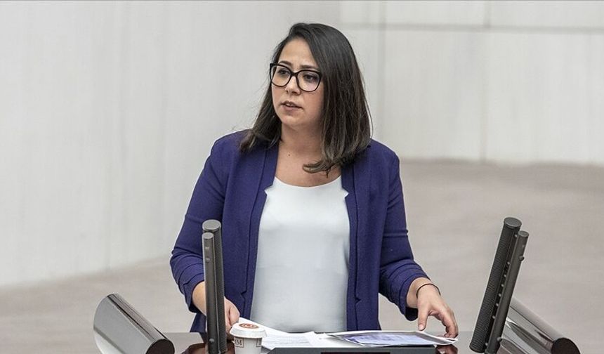 Sera Kadıgil hakkında "Cumhurbaşkanına hakaret" ve "tehdit" gerekçesiyle re'sen soruşturma başlatıldı