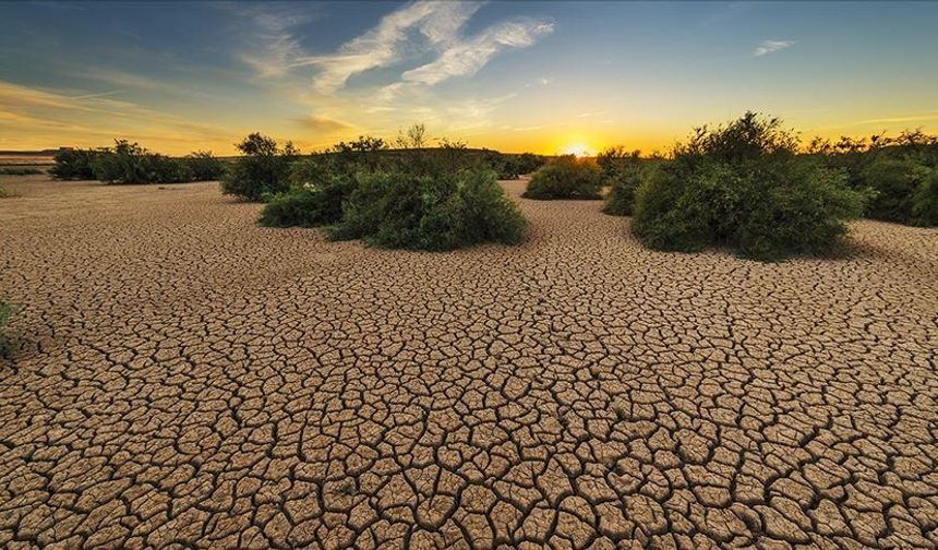 COP29’da iklim alarmı: IPCC'den 3 derecelik ısınma uyarısı