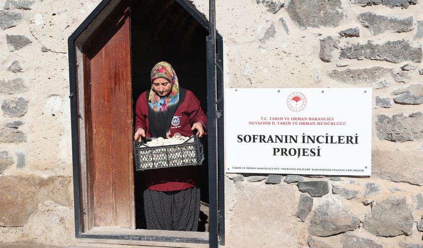 Kooperatif kuran girişimci kadınlar kaya odalarda mantar üretiyor