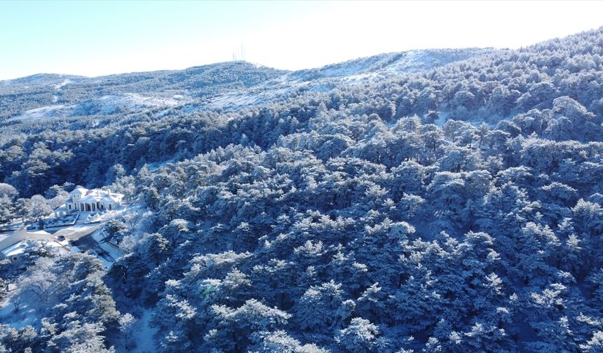 Yozgat Çamlığı Milli Parkı'nda karla kaplanan ağaçlar dronla görüntülendi