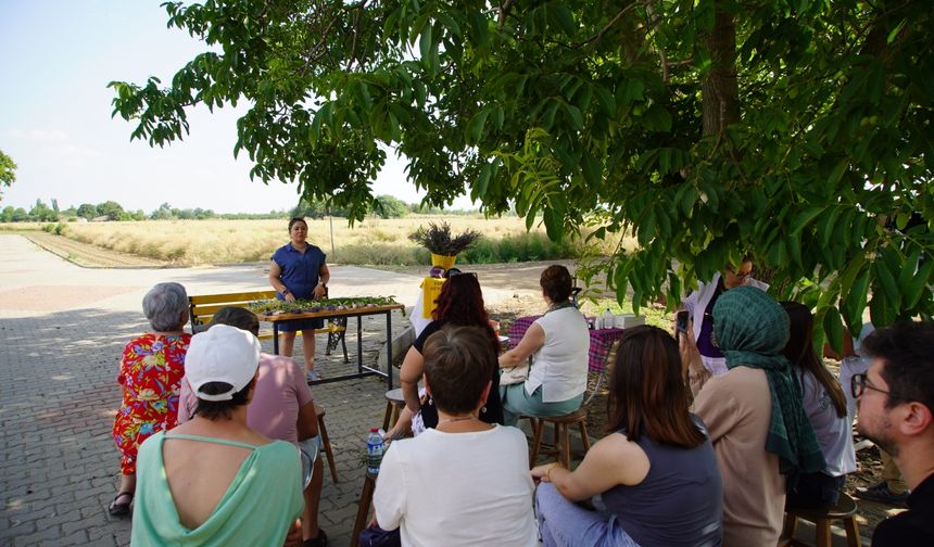 Edirne’de 8. Lavanta Tarla Günleri Coşkusu: Turizm ve Üretim Buluşuyor