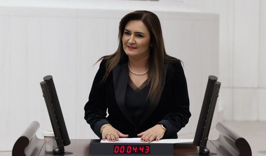 CHP’li Kılıç'tan Boğaziçi’nin EUA’dan çıkışına tepki: "Tasarruf savunması son derece komik"