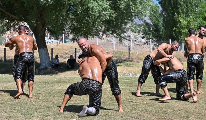 Kandıra Namazgah Yağlı Güreşlerinde, 42 Başpehlivan kol bağlayacak.