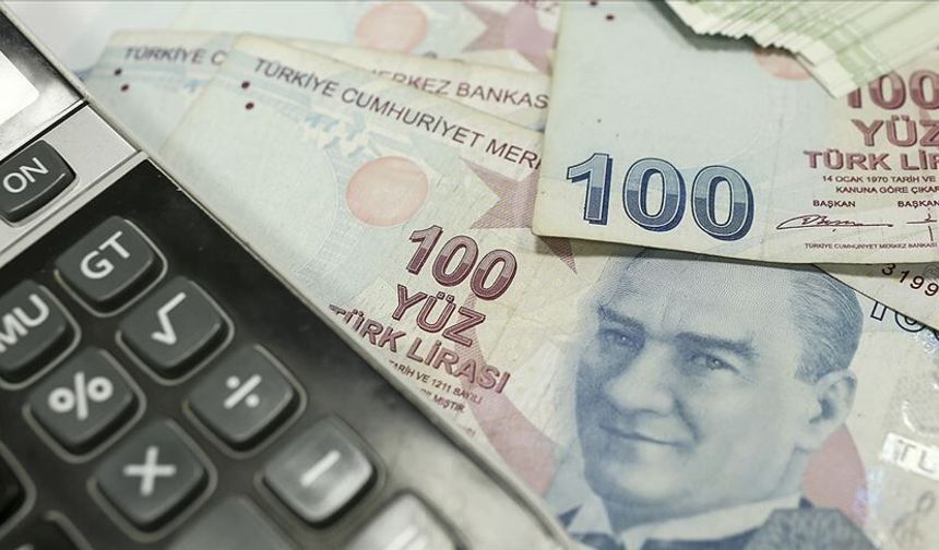 TL'nin reel efektif döviz kuru temmuzda yükseldi
