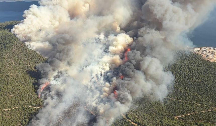 Muğla’da 3 ilçede orman yangını: Söndürme çalışmaları devam ediyor