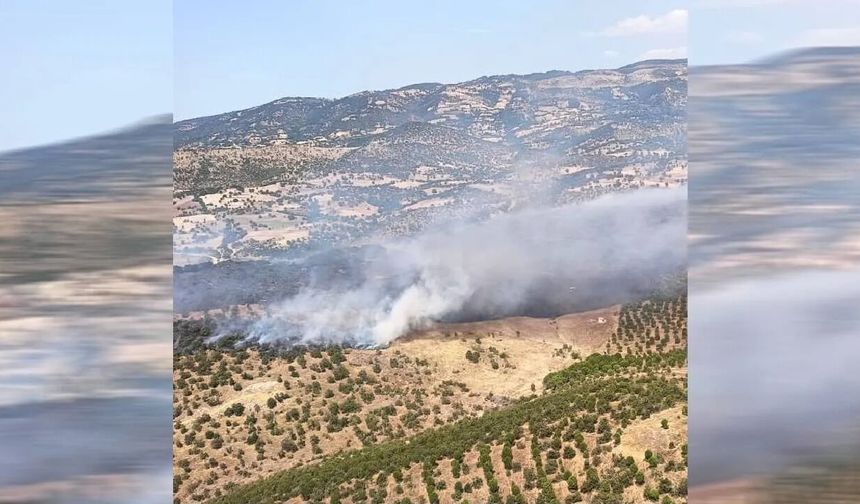 Balıkesir'de orman yangını: Sındırgı'daki alevlere havadan ve karadan müdahale