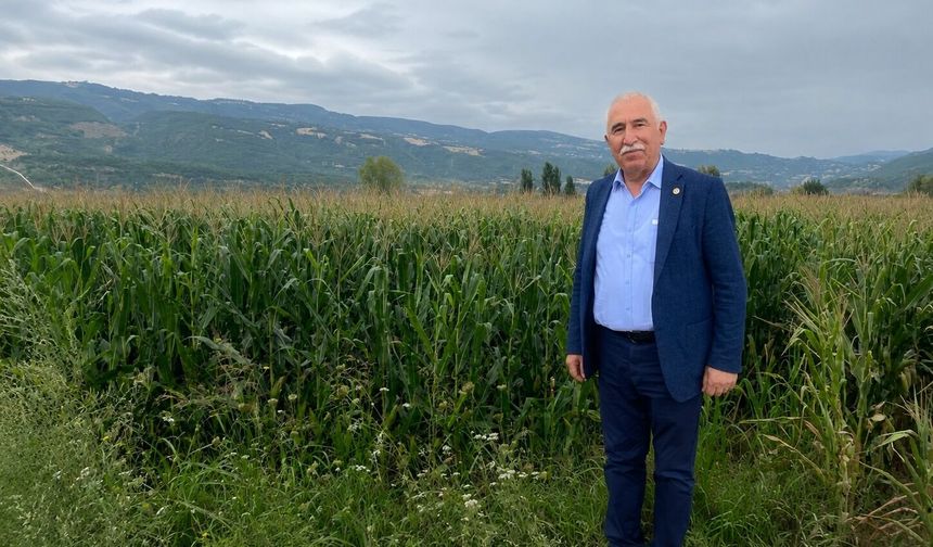 CHP Tokat Milletvekili Kadim Durmaz: "Mısır alım fiyatı en az 17 lira olmalı"