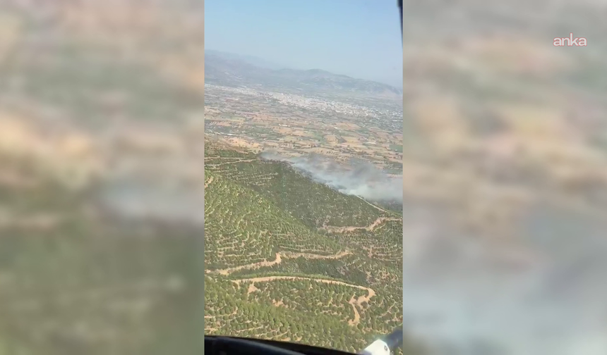 İzmir Ödemiş'te orman yangını: Havadan ve karadan müdahale sürüyor