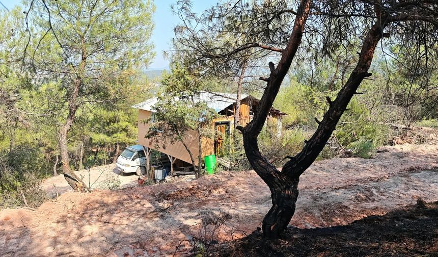 Bilecik'teki orman yangını ekiplerin müdahalesi sonucu kontrol altına alındı