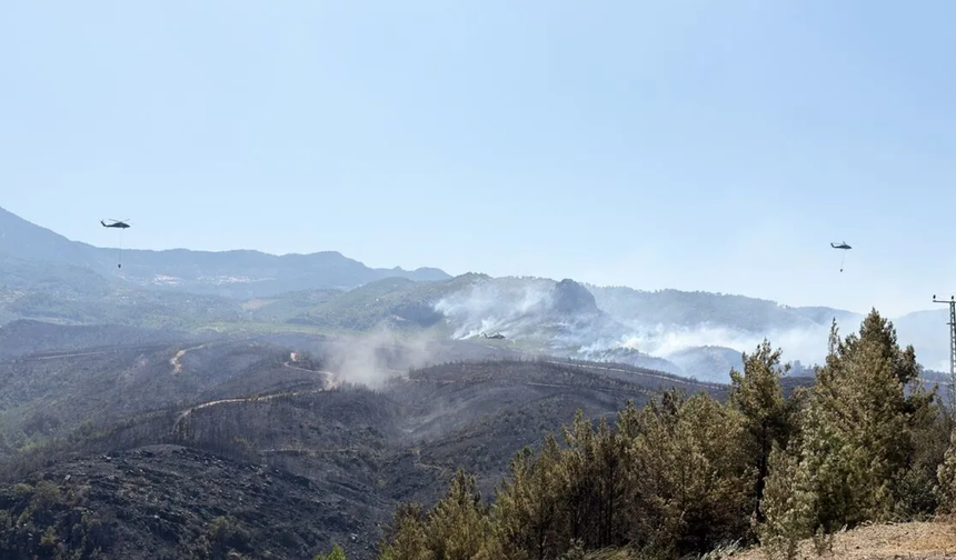 Muğla Menteşe'de kızılçam ormanında yangın