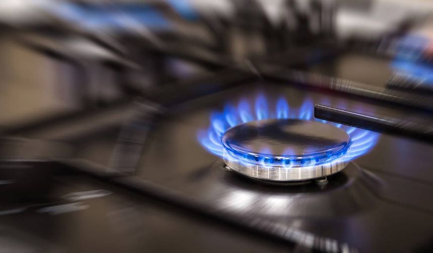 Erdoğan: "2027'de her 3 haneden 1'i yerli gaz kullanacak"