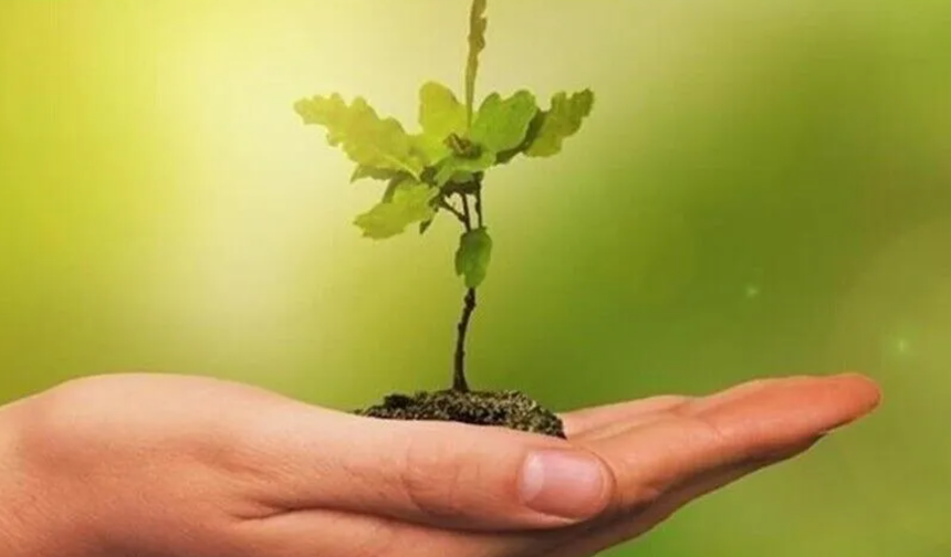 Eğitim yapılarında enerji ve su verimliliği için yeni işbirliği yapıldı