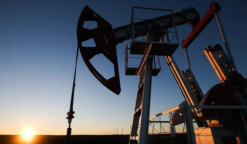 Petrol ve petrol ürünleri ithalatı geriledi: Türkiye'nin haziran verileri belli oldu