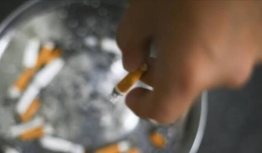Uzmanlardan "bir nefes bin zehir" uyarısı: Tütün akciğer kanseri riskini 20 kata kadar artırıyor