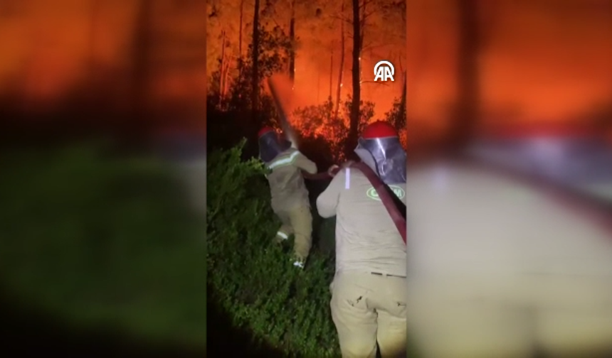 Antalya Serik'te orman yangını: Müdahale sürüyor