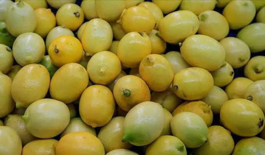 Tarlada 3,90 markette 42 TL: Limonda üretici ile market farkı yüzde 1000'e dayandı